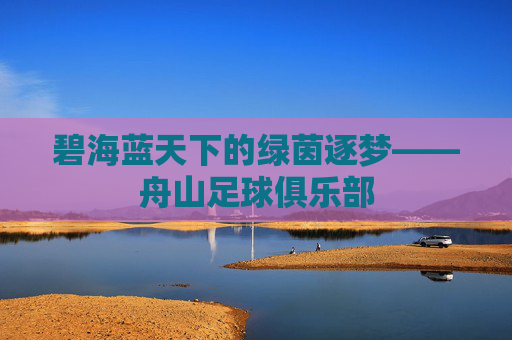碧海蓝天下的绿茵逐梦——舟山足球俱乐部