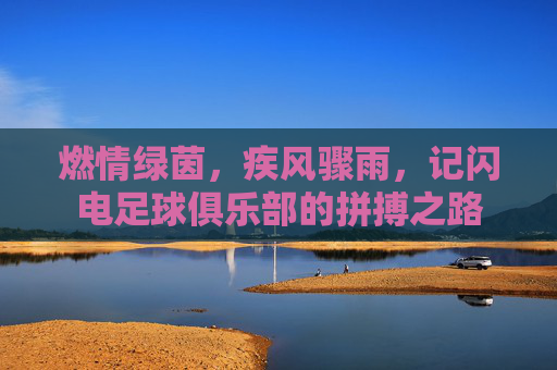 燃情绿茵，疾风骤雨，记闪电足球俱乐部的拼搏之路