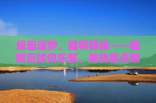 绿茵逐梦，健将铸魂——健将足球俱乐部，用热爱点燃每一个足球梦