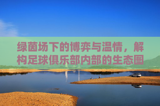绿茵场下的博弈与温情，解构足球俱乐部内部的生态图谱