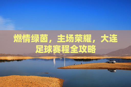 燃情绿茵，主场荣耀，大连足球赛程全攻略