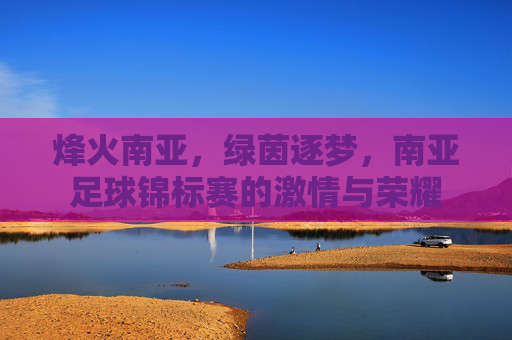 烽火南亚，绿茵逐梦，南亚足球锦标赛的激情与荣耀