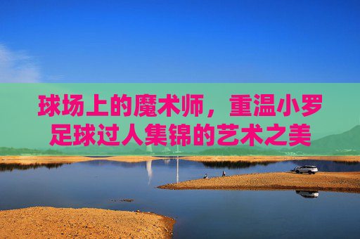 球场上的魔术师，重温小罗足球过人集锦的艺术之美