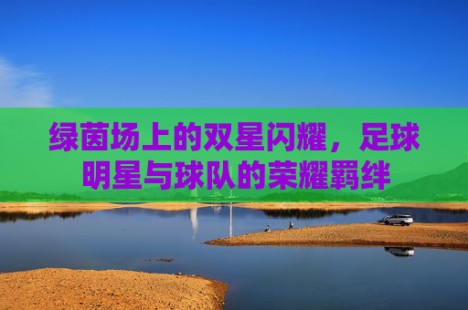 绿茵场上的双星闪耀，足球明星与球队的荣耀羁绊