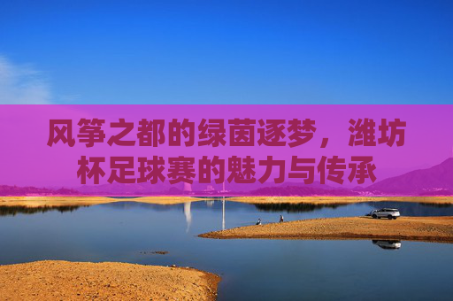 风筝之都的绿茵逐梦，潍坊杯足球赛的魅力与传承