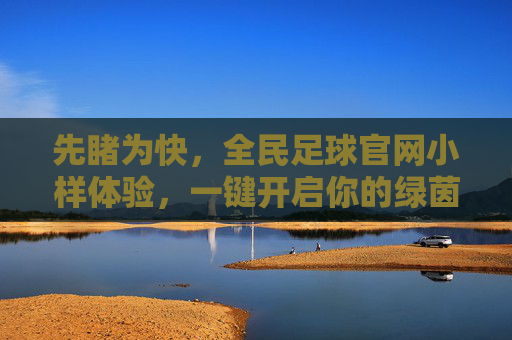 先睹为快，全民足球官网小样体验，一键开启你的绿茵传奇