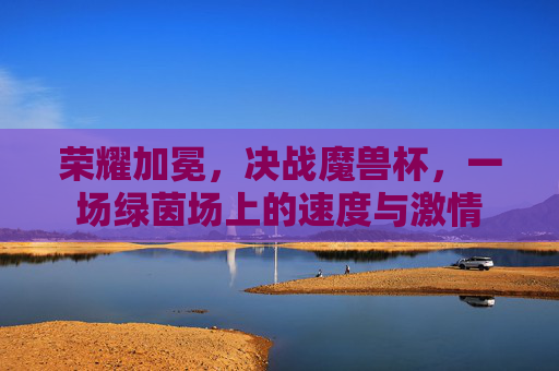 荣耀加冕，决战魔兽杯，一场绿茵场上的速度与激情