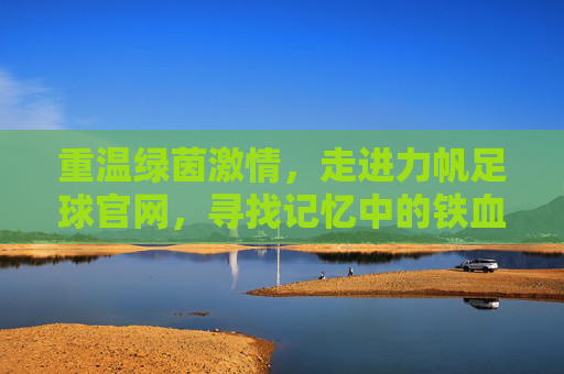 重温绿茵激情，走进力帆足球官网，寻找记忆中的铁血荣光