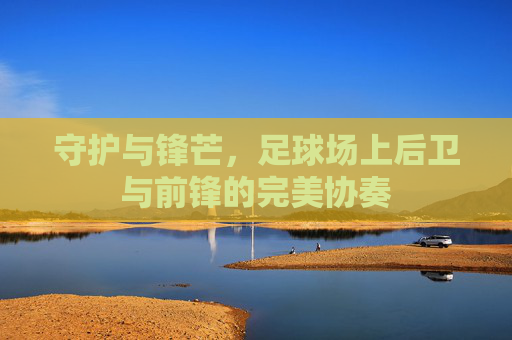 守护与锋芒，足球场上后卫与前锋的完美协奏
