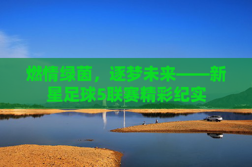 燃情绿茵，逐梦未来——新星足球5联赛精彩纪实