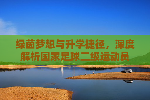 绿茵梦想与升学捷径，深度解析国家足球二级运动员