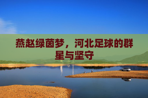 燕赵绿茵梦，河北足球的群星与坚守