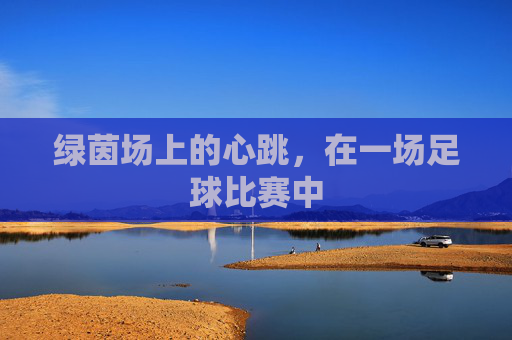 绿茵场上的心跳，在一场足球比赛中