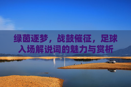 绿茵逐梦，战鼓催征，足球入场解说词的魅力与赏析