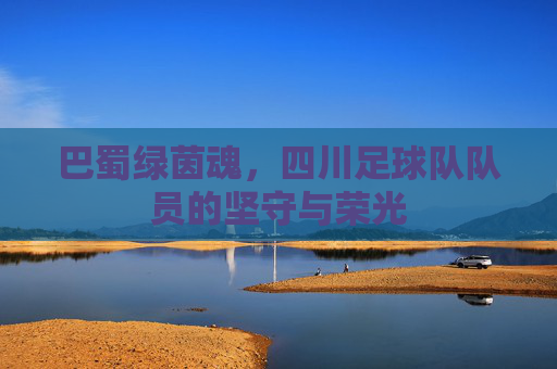 巴蜀绿茵魂，四川足球队队员的坚守与荣光