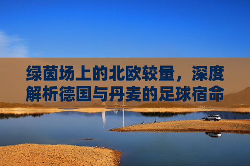 绿茵场上的北欧较量，深度解析德国与丹麦的足球宿命对决