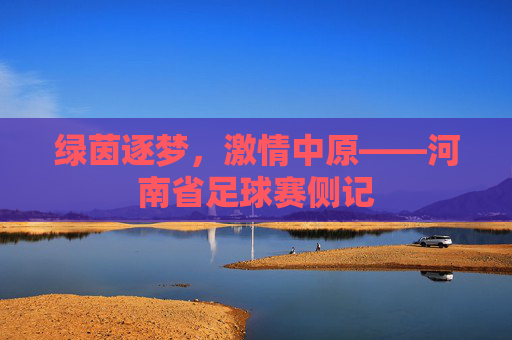 绿茵逐梦，激情中原——河南省足球赛侧记