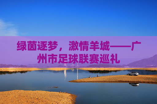 绿茵逐梦，激情羊城——广州市足球联赛巡礼