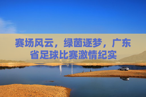 赛场风云，绿茵逐梦，广东省足球比赛激情纪实