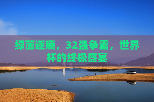 绿茵逐鹿，32强争霸，世界杯的终极盛宴
