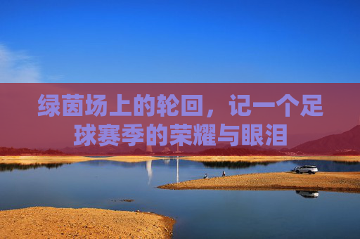 绿茵场上的轮回，记一个足球赛季的荣耀与眼泪
