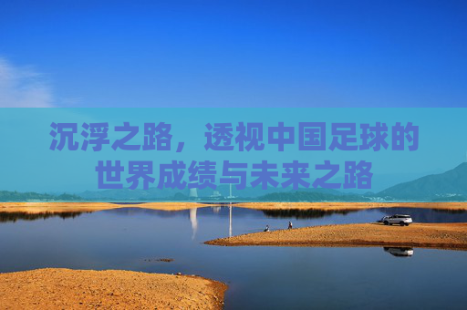 沉浮之路，透视中国足球的世界成绩与未来之路