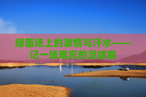 绿茵场上的激情与汗水——记一场难忘的足球赛