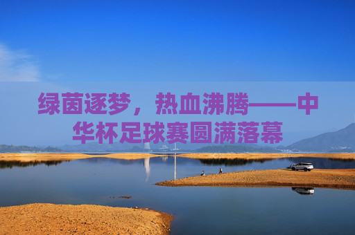 绿茵逐梦，热血沸腾——中华杯足球赛圆满落幕