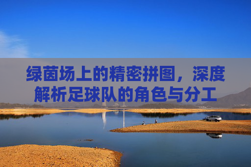 绿茵场上的精密拼图，深度解析足球队的角色与分工