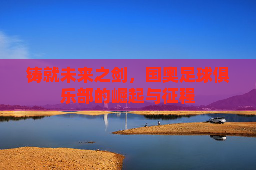 铸就未来之剑，国奥足球俱乐部的崛起与征程