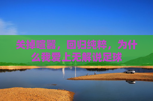 关掉喧嚣，回归纯粹，为什么我爱上无解说足球