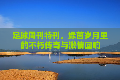 足球周刊特刊，绿茵岁月里的不朽传奇与激情回响