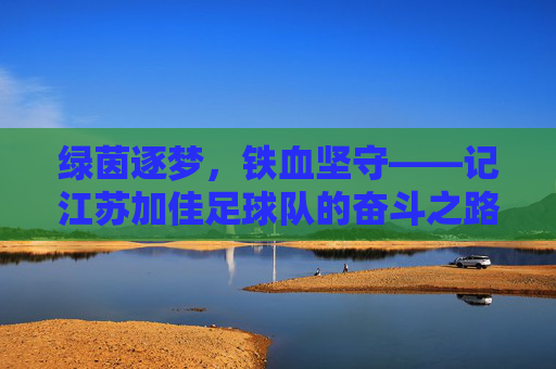 绿茵逐梦，铁血坚守——记江苏加佳足球队的奋斗之路