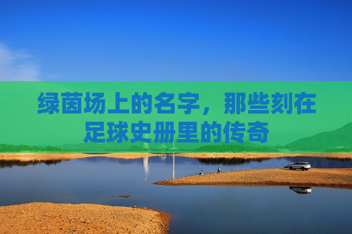 绿茵场上的名字，那些刻在足球史册里的传奇