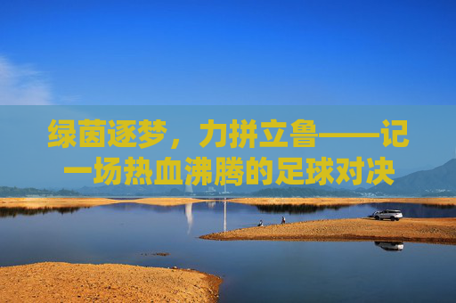 绿茵逐梦，力拼立鲁——记一场热血沸腾的足球对决