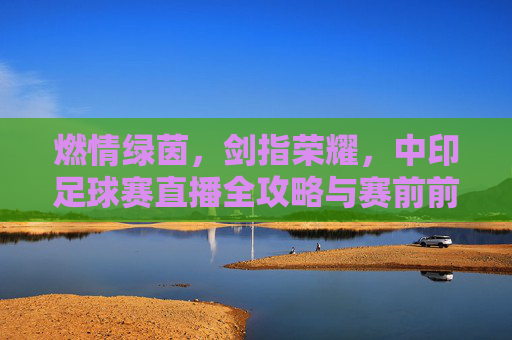 燃情绿茵，剑指荣耀，中印足球赛直播全攻略与赛前前瞻