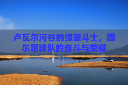 卢瓦尔河谷的绿茵斗士，图尔足球队的奋斗与荣耀