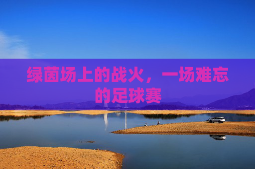 绿茵场上的战火，一场难忘的足球赛