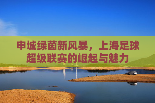 申城绿茵新风暴，上海足球超级联赛的崛起与魅力