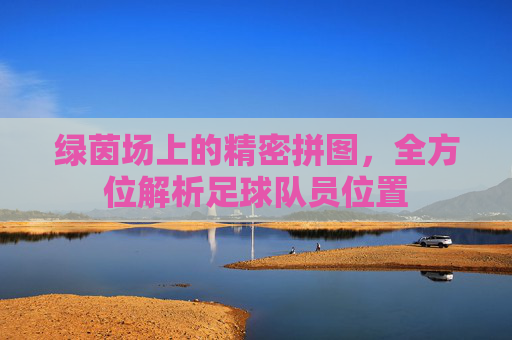 绿茵场上的精密拼图，全方位解析足球队员位置
