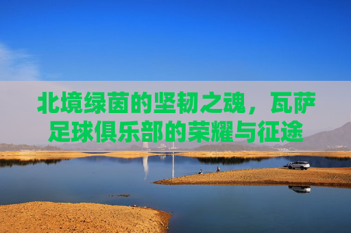 北境绿茵的坚韧之魂，瓦萨足球俱乐部的荣耀与征途