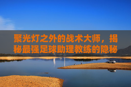 聚光灯之外的战术大师，揭秘最强足球助理教练的隐秘力量