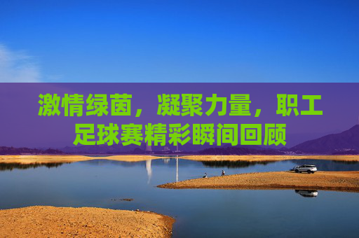 激情绿茵，凝聚力量，职工足球赛精彩瞬间回顾
