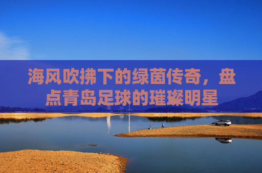 海风吹拂下的绿茵传奇，盘点青岛足球的璀璨明星