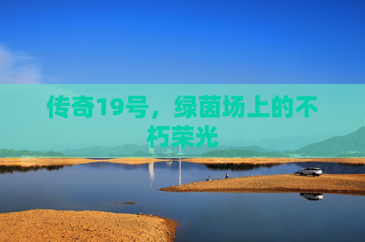 传奇19号，绿茵场上的不朽荣光