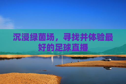 沉浸绿茵场，寻找并体验最好的足球直播