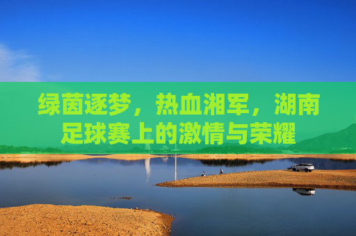 绿茵逐梦，热血湘军，湖南足球赛上的激情与荣耀