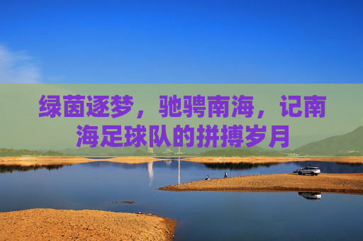 绿茵逐梦，驰骋南海，记南海足球队的拼搏岁月