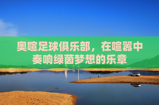 奥喧足球俱乐部，在喧嚣中奏响绿茵梦想的乐章
