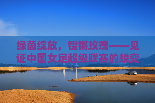 绿茵绽放，铿锵玫瑰——见证中国女足超级联赛的蜕变与荣光
